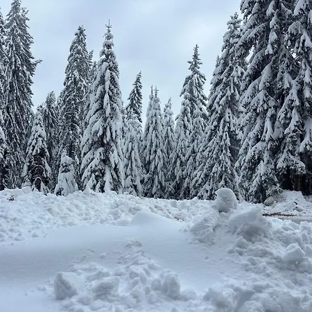 アパート Passion & Sense