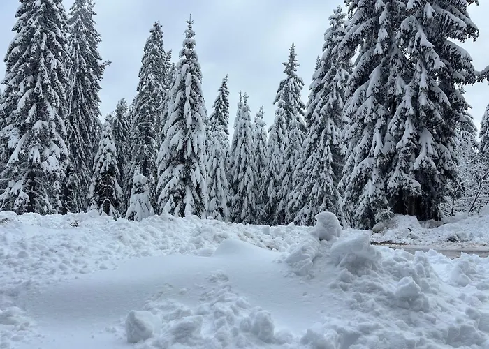 דירה Passion & Sense